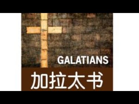 Galatians 5 20230228 咔咔 day46
