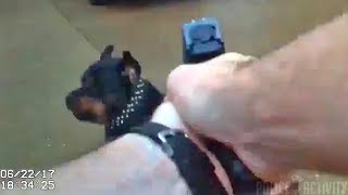 Bodycam Shows Cop Shoot At Rottweiler