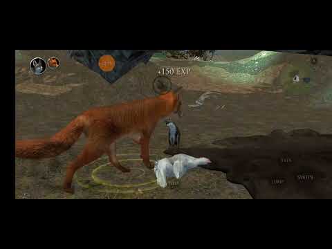 A Powerful Duo|Ultimate fox simulator 2| the gem skulk ep 4 - YouTube