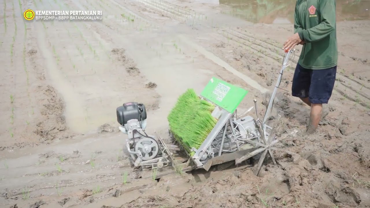 Uji Coba Alsintan Transplanter di BBPP Batangkaluku : Lebih Cepat, Lebih Efisien
