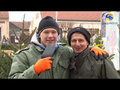 Simpatični prodavači borova u Križevcima