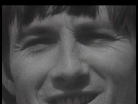 Crispian St. Peters - Changes