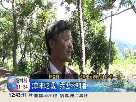 對抗狂犬病! 台東2千劑疫苗備戰