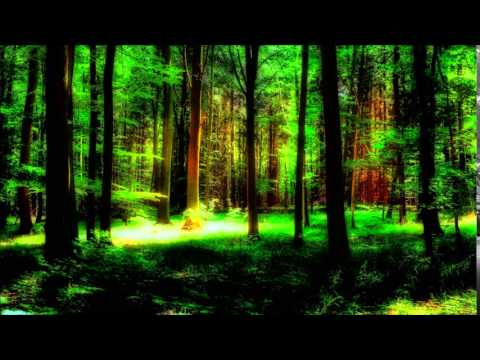 Invatatura 55 - Partasia frateasca - fratele Ioan Suciu