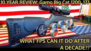 FULL 10 YEAR REVIEW Gamo Big Cat 1200 .177 Break Barrel Air Rifle 2011-2021! SHOCKING CHRONO RESULT!