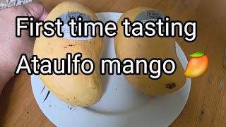 FIRST TIME TASTING ATAULFO MANGO 🥭
