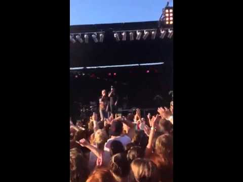 Crickets -Drop City Yacht Club