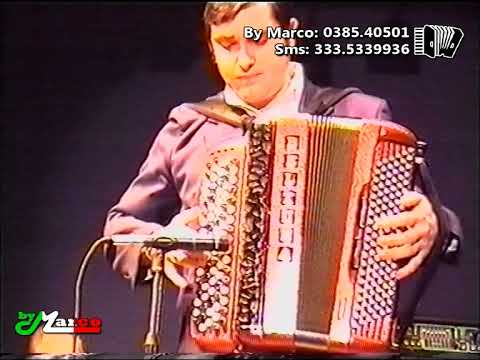 Davide Salvi - Menestrello