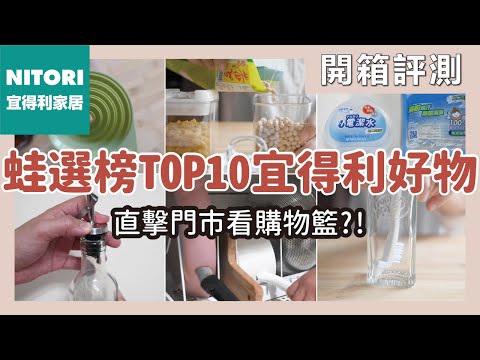 宜得利烏龜