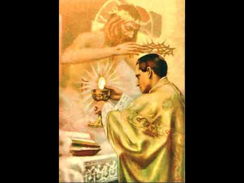 11.4.2020. Tko je svećenik - vlč. Ramos