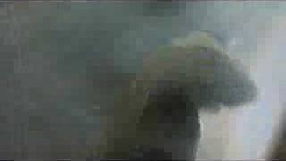 Petter Goda dagars magi Alvy Singer remix