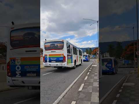 Vip V & Torino S - Cs Brasil & Princesa do Norte, Mogi das cruzes #csbrasil #princesadonorte