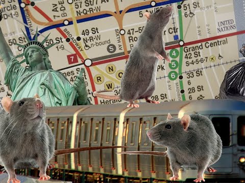 AoS Battlescroll, NY Trip Stories, New Commercial, AoS Game?!