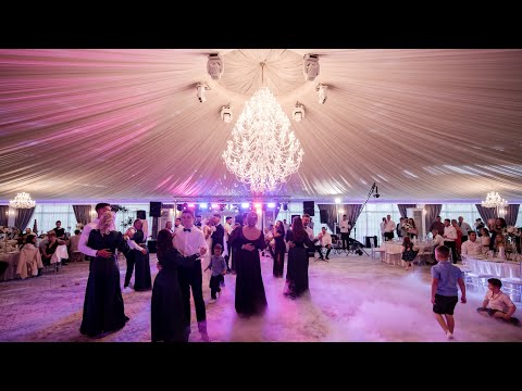 Elisa Lucan - Ce naș, Ce nașă | Live | Nunta Andreea & Calin