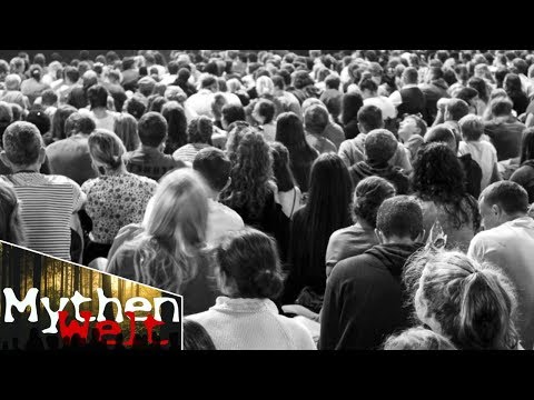 Macht Gruppendynamik den Menschen zum Schaf