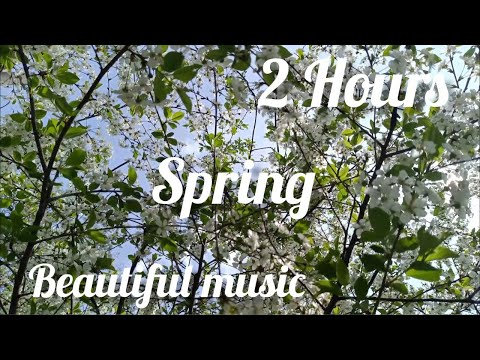 Chopin - Spring Waltz (Mariage d'Amour). Very beautiful music. 2 hours
