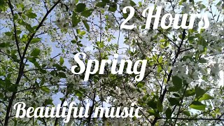 Download lagu Chopin - Spring Waltz (Mariage d'Amour). Very beautiful music. 2 hours mp3 Download lagu Chopin - Spring Waltz (Mariage d'Amour). Very beautiful music. 2 hours mp3