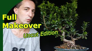 Download lagu How do you develop a ficus bonsai? mp3