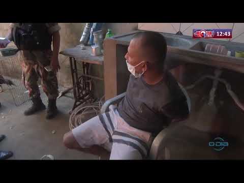 Galos resgatados de rinha vaÌƒo ser direcionados a criadouros 22 07