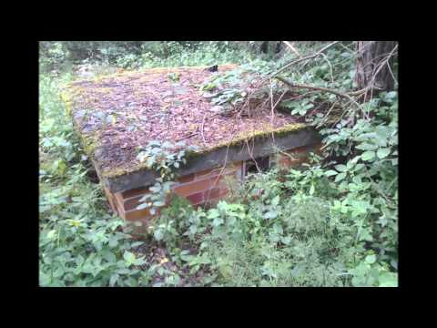 [𝕿𝖔𝖝𝖎𝖈 7] ☢️ Die Waldsiedlung Wandlitz 2015 (Alte Zeiten)