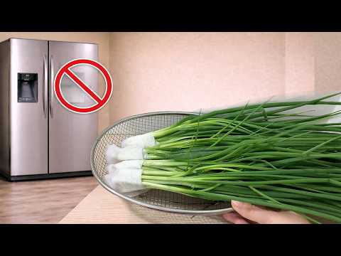 No Refrigerator Here’s How I Keep Green Onions Fresh for a Whole Month | Annie Tips.