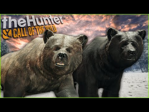 WORTH IT! Grizzly Bear Hunt Provides Diamond & Melanistic Grizzlies! Call of the wild