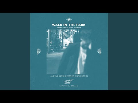 Walk In The Park (Fuminori Kagajo Dub Mix)