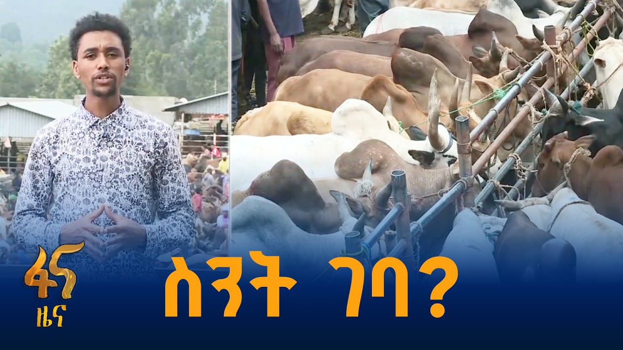 የሸጎሌ የቁም እንስሳት የገበያ ማዕከል