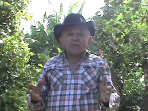 01 JESUS QUINTERO PICADILLO VEGUERO PROPIO 2