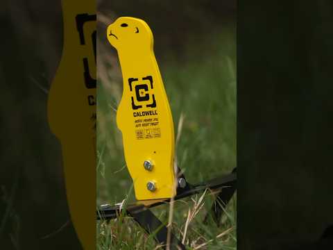 Heavy Metal for the Range // Caldwell AR500 Steel Targets