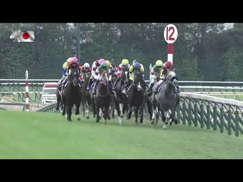 2019 Tenno Sho Autumn International Group 1 2000m