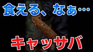 ゆっくり毒物vol.153　キャッサバ【ゆっくり解説】