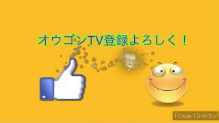 新opできましたー！これからもよろしくー！