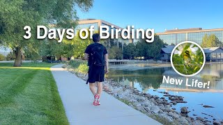 Here's What I Saw Birding Three Days in a Row