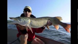 Rapala magnum shad rap
