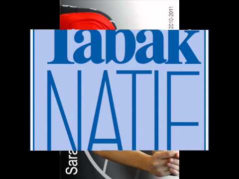 Promofilm Asterix Kieldrecht - Dresden 2010-12-09.wmv