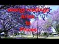 ARIES TO PISCES. PICKING UP ENERGY  ( TIMESTAMPS)