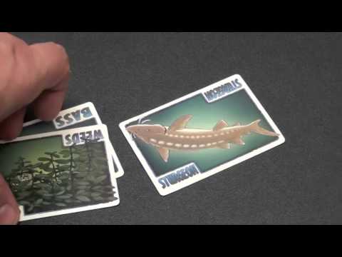 Dice Tower Reviews: Sturgeon