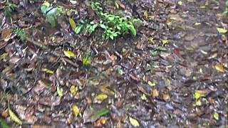 I Won&#39;t Be The One To Let Go - Barry Manilow With Barbra Streisand