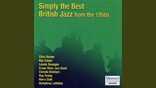 Black Cat On The Fence