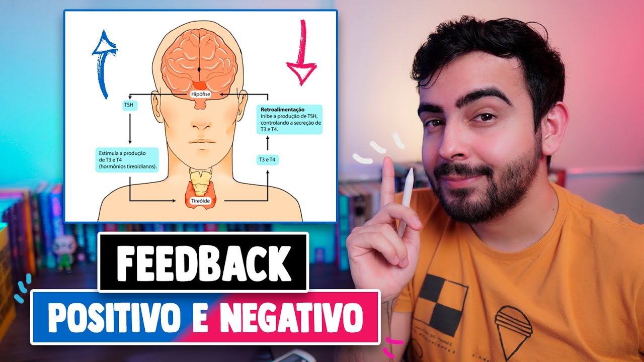Diferenças entre FEEDBACK Negativo e Positivo │ Fisiologia Resumida
