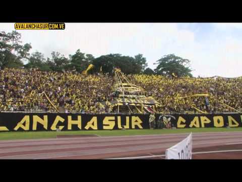 "Dvo. Táchira Campeón Temporada 2010-2011 AVSR" Barra: Avalancha Sur &bull; Club: Deportivo Táchira