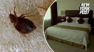 I’m a flight attendant — here’s how to check for bed bugs at your hotel