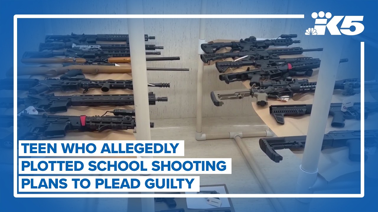 Teen accused of plotting school shooting to plead guilty