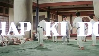 HAPKIDO Original English Trailer
