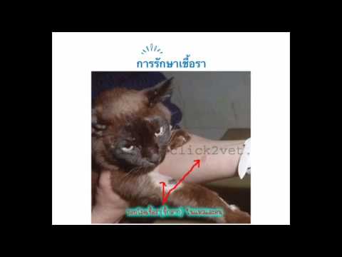 ในการรักษาโรคผิวหนังภูมิแพ้ โรคสะเก็ดเงินและผลกระทบ