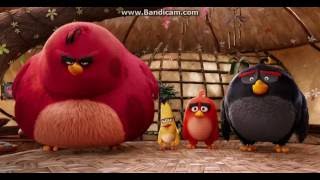 The Angry Birds Movie - Yoga Poses