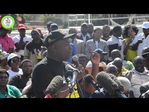 Kudzi Chipanga's speech at Grace Mugabe's solidarity march