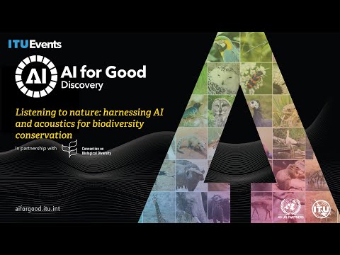 Miniatura del video sobre cómo la IA escucha y observa la naturaleza para conservar la biodiversidad.