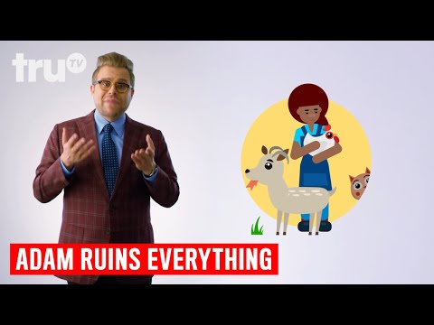 アダムはすべてを台無しにする - 猫動画がインターネットを支配する理由 (Everyday Ruins) ｜ truTV